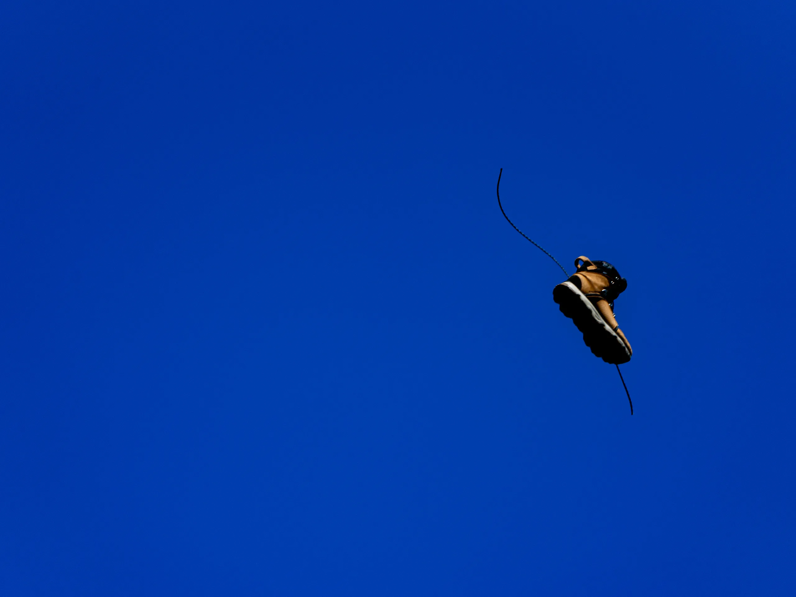 Salomon en plein vol, documentaire de Petit Bouquetin, photo 3 sur 6