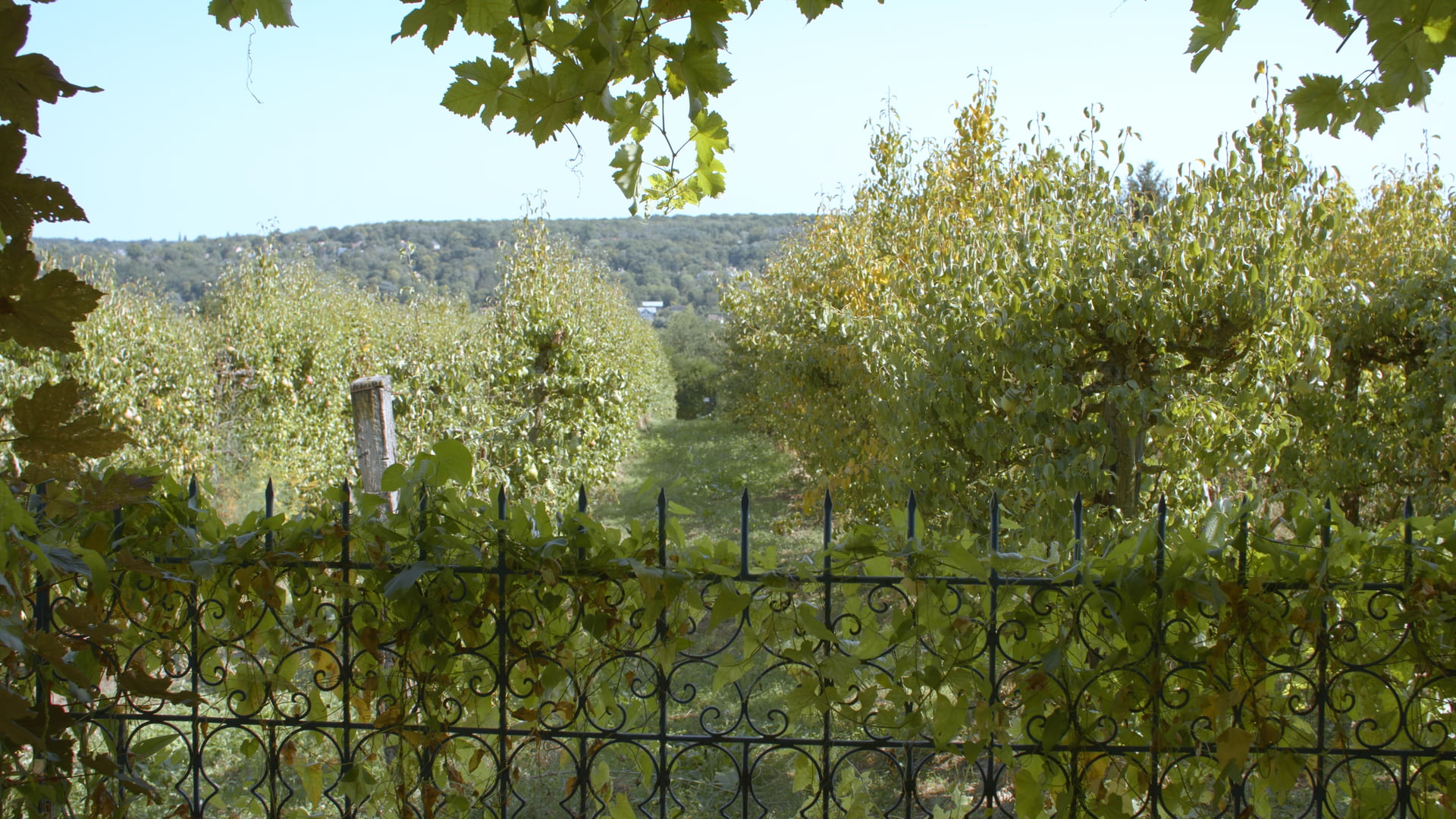 Le jardin des continuités, documentaire de Petit Bouquetin, photo 4 sur 14