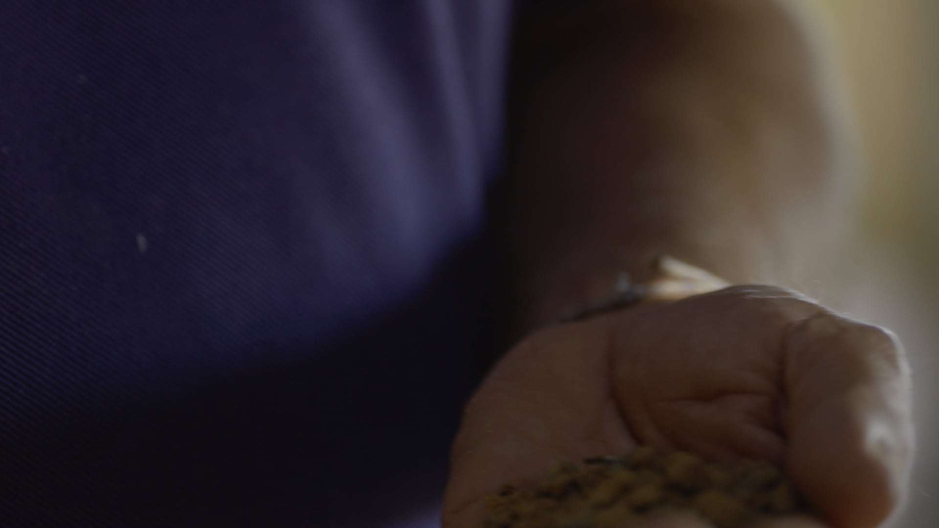 Le jardin des continuités, documentaire de Petit Bouquetin, photo 10 sur 14