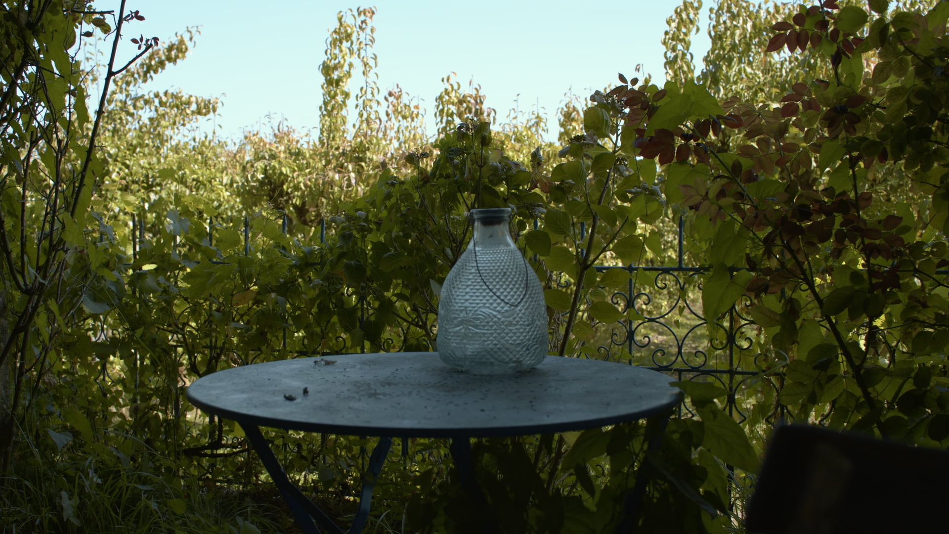 Le jardin des continuités, documentaire de Petit Bouquetin, photo 12 sur 14