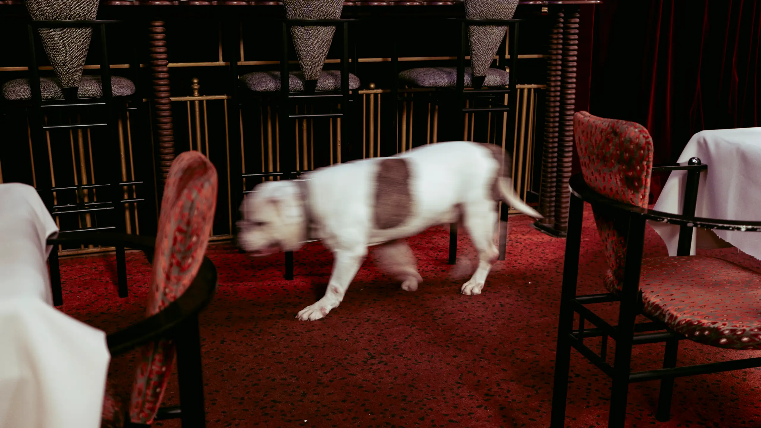 Mon ami Paul, documentaire de Petit Bouquetin, photo 20 sur 38