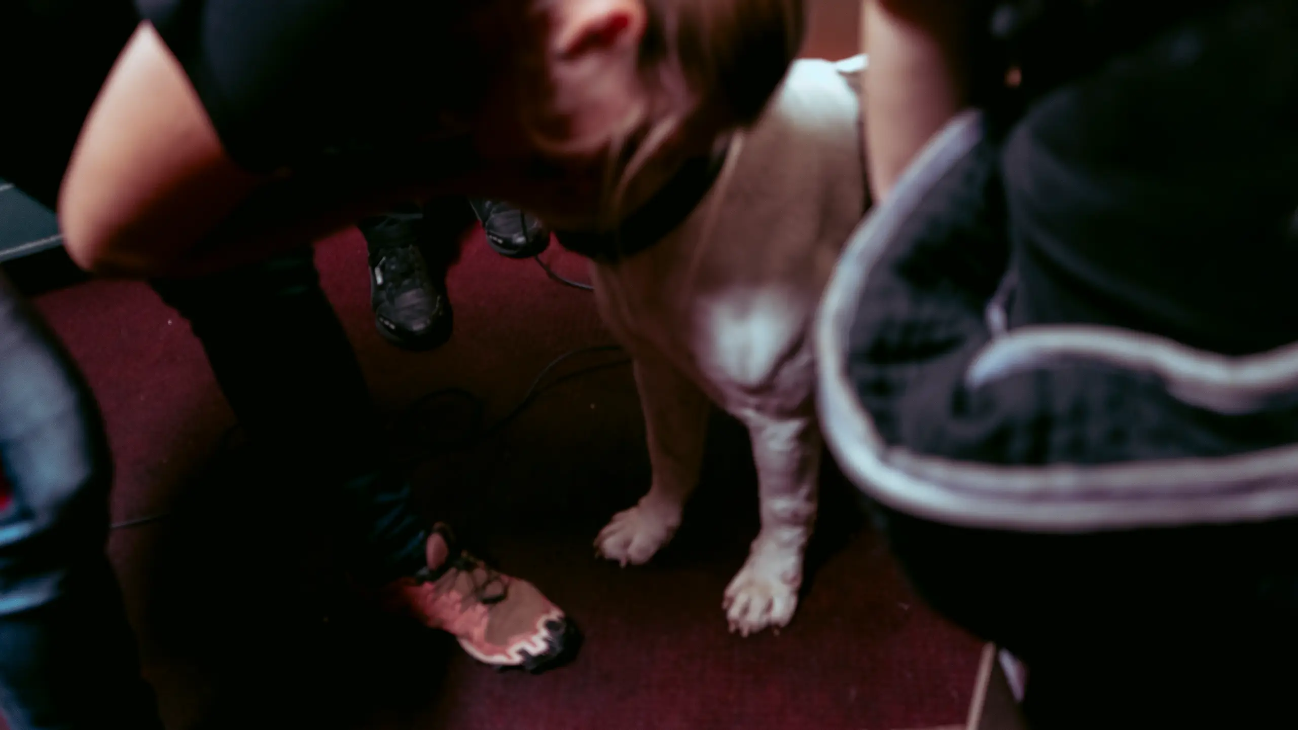 Mon ami Paul, documentaire de Petit Bouquetin, photo 21 sur 38